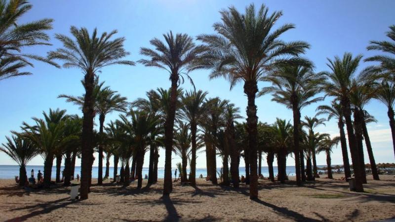 Hotel El Pozo Torremolinos Dış mekan fotoğraf